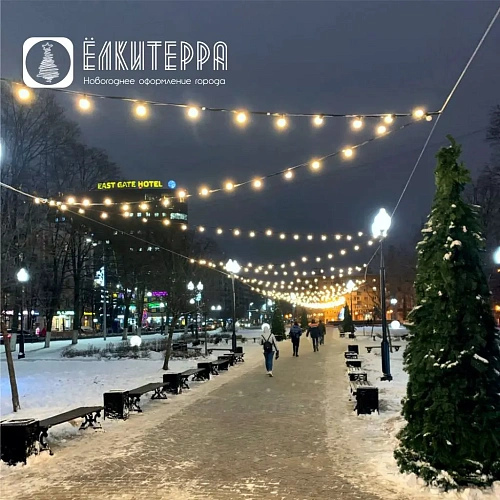 Белт-лайт, 2-х проводной, между лампами 40 см, патрон-резина (125 шт), бухта 50 метров, 220 В,  Черный